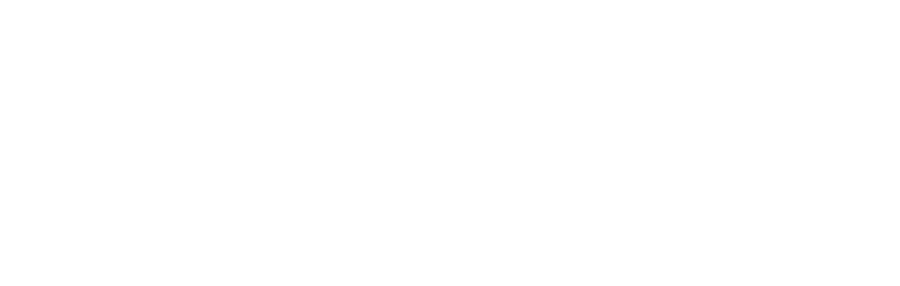 BYD 比亚迪